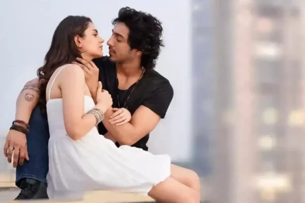 Hunterfly Saiyaara Box Office Day 4 11zon