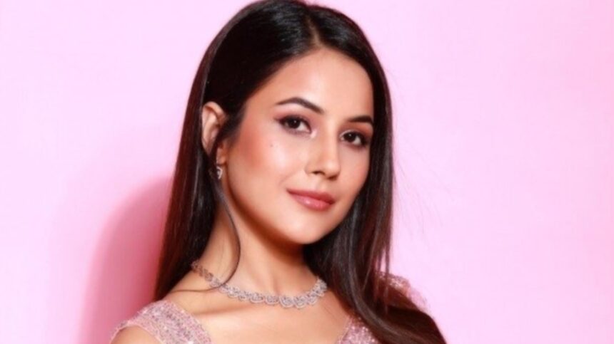 Shehnaaz Gill addresses past relationship betrayal and equal partnership expectations