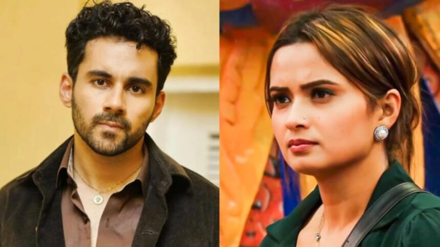 Hunterfly 2025 11 10 082940 Bigg Boss 19 Weekend Ka Vaar double eviction of Abhishek Bajaj and Neelam Giri
