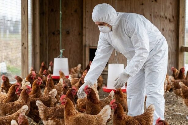 Bird Flu H5N1 2025 Global Outbreak and Animal Impact