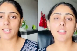 Hunterfly NRI Woman in US Praises Indias Food Delivery Transport Festivals 1 Hunterfly NRI Woman in US Praises Indias Food Delivery Transport Festivals 1