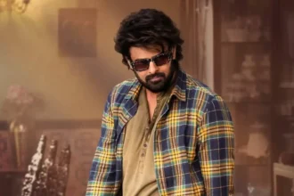 Hunterfly The Raja Saab Box Office Day 14 11zon