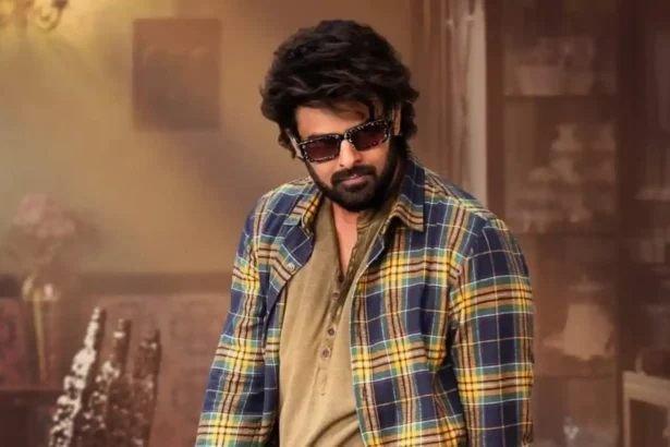 Hunterfly The Raja Saab Box Office Day 14 11zon Hunterfly The Raja Saab Box Office Day 14 11zon