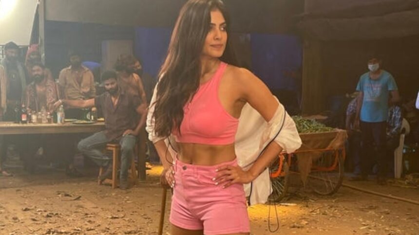 Hunterfly 026 02 11 193215 Malavika Mohanan fight scene from The Raja Saab with body double reveal