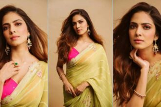 Hunterfly 026 02 13 185005 Malavika Mohanan in soft green saree photoshoot