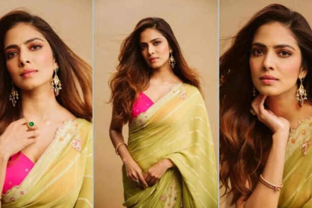 Hunterfly 026 02 13 185005 Malavika Mohanan in soft green saree photoshoot