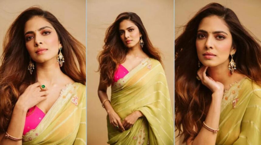 Hunterfly 026 02 13 185005 Malavika Mohanan in soft green saree photoshoot