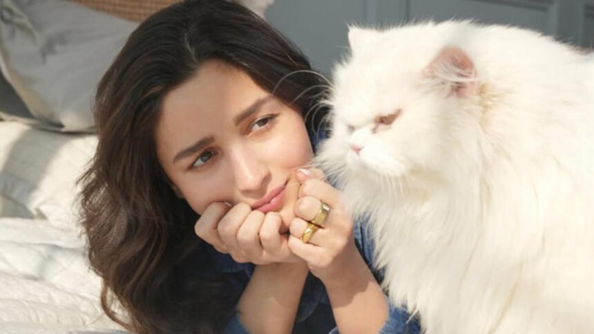 Alia Bhatt posing with her pet cat at home