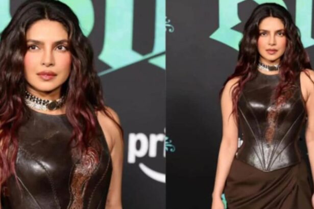 Priyanka Chopra wearing brown leather corset gown at The Bluff premiere in Los Angeles