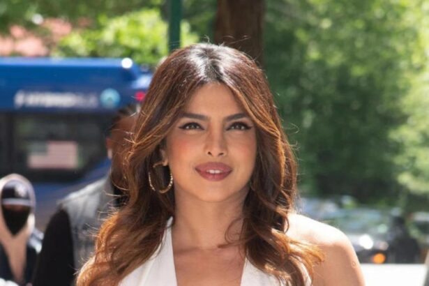 Priyanka Chopra Jonas at an international red carpet event