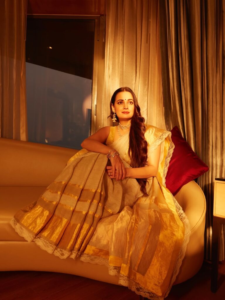 Hunterfly Dia Mirza sari look 4 Dia Mirza sari look