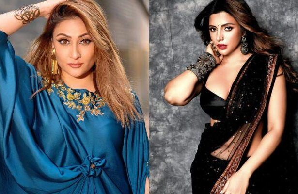 Popular Indian television actresses who worked in B-grade films early in their careers