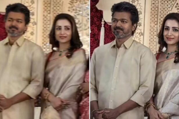Hunterfly 026 03 06 114808 Vijay and Trisha attending a wedding reception in Chennai