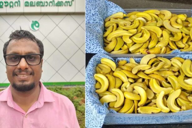 Hunterfly 2026 03 10 204232 Kerala farmer Brijith Krishnan cashew sprouts startup