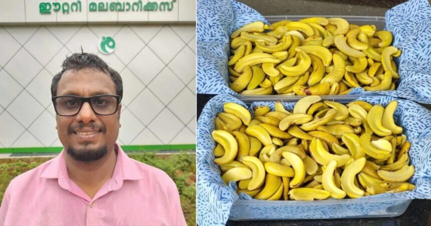 Hunterfly 2026 03 10 204232 Kerala farmer Brijith Krishnan cashew sprouts startup