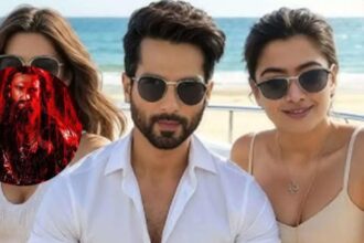 Hunterfly 26 03 07 172019 Shahid Kapoor Cocktail 2 teaser with Ranveer Singh Dhurandhar 2