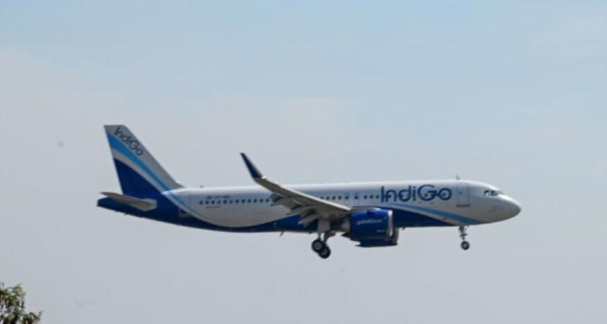 William Walsh IndiGo CEO appointment aviation news