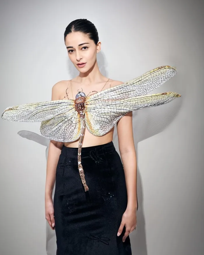 Hunterfly anyaa 2