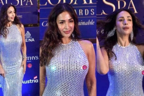 Hunterfly 026 04 23 151240 Malaika Arora mirror work silver bodycon gown event look