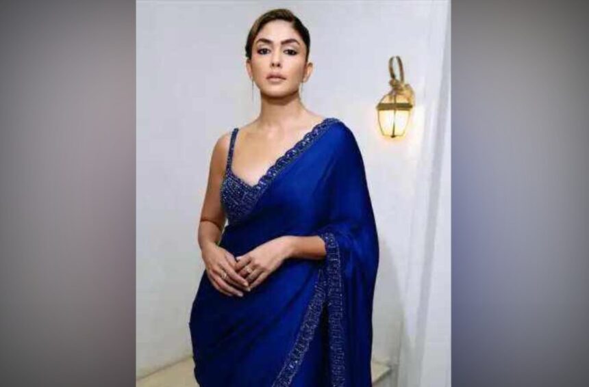 Mrunal Thakur Bollywood Journey Success