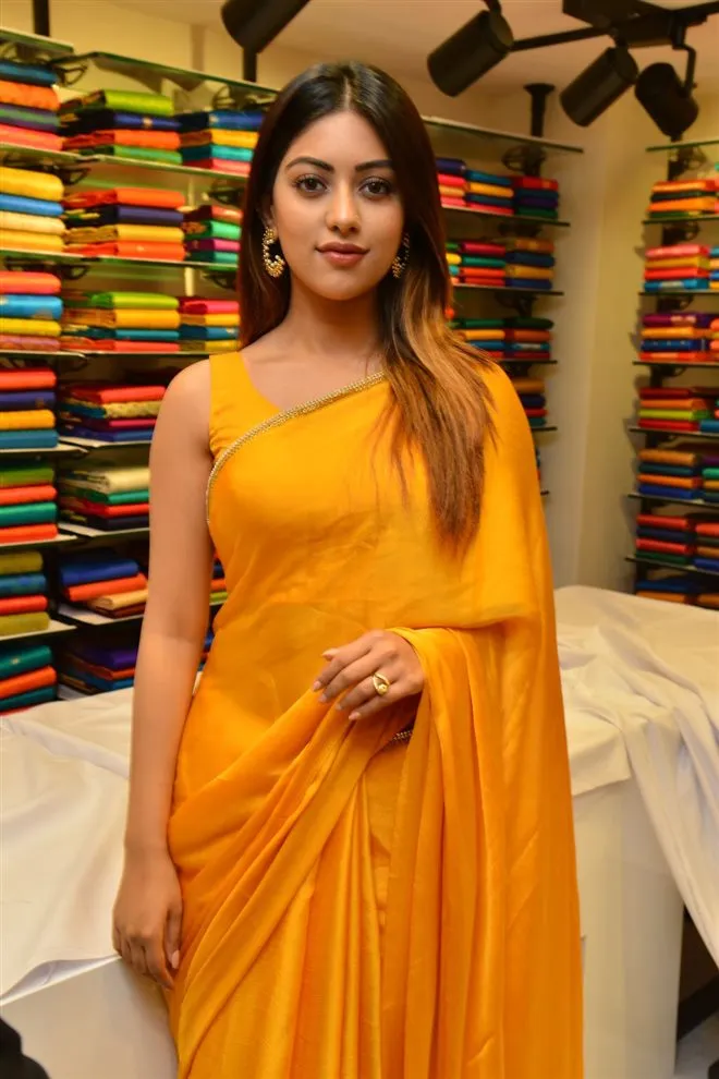 Hunterfly Anu Emmanuel 206 Hunterfly Anu Emmanuel 206