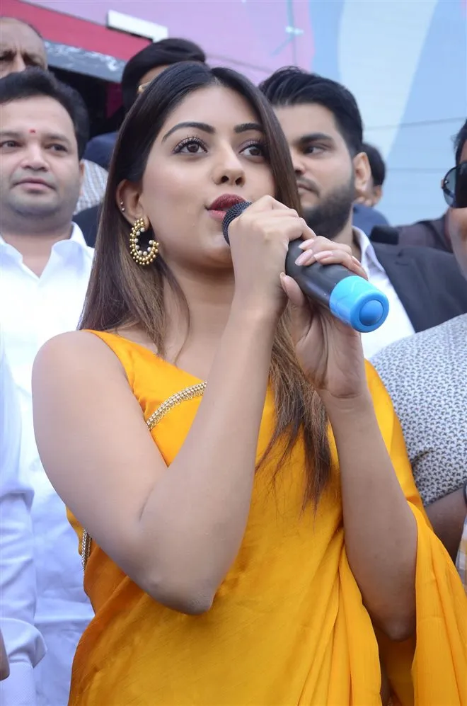 Hunterfly Anu Emmanuel 97 2 Hunterfly Anu Emmanuel 97 2