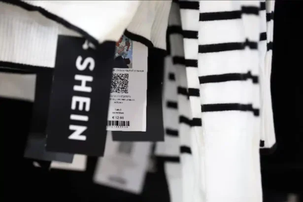 Shein and Everlane logos linked to reported acquisition deal in the fashion retail sector.