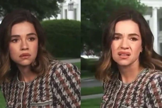 Hunterfly 026 05 25 223458 11zon NBC reporter Julie Tsirkin reacting during White House gunfire incident viral clip