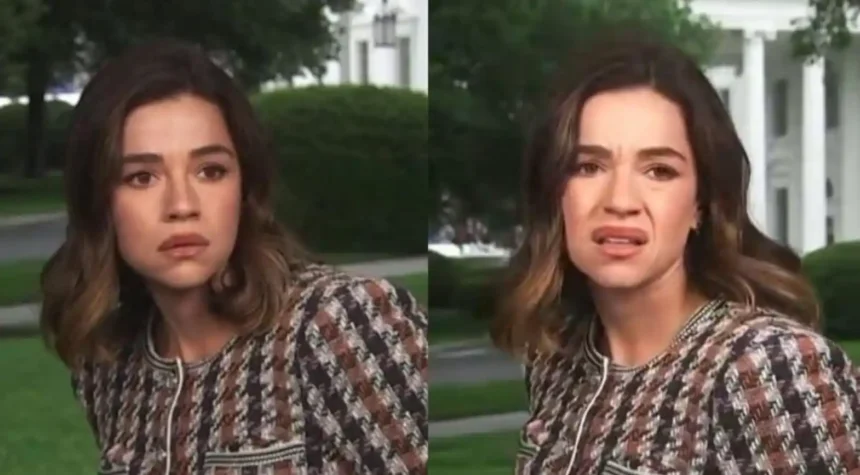 Hunterfly 026 05 25 223458 11zon NBC reporter Julie Tsirkin reacting during White House gunfire incident viral clip