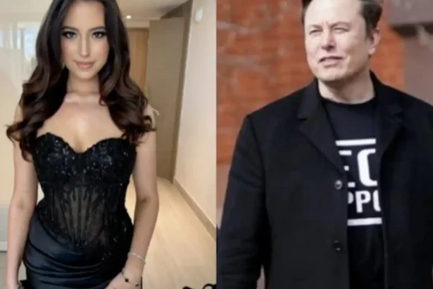 Ashley St. Clair discussing her relationship with Elon Musk and custody issues