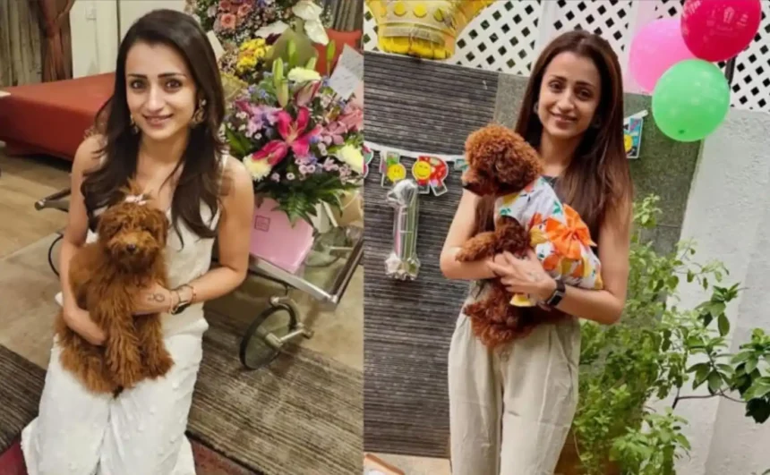 Trisha Krishnan Chennai Luxury Home