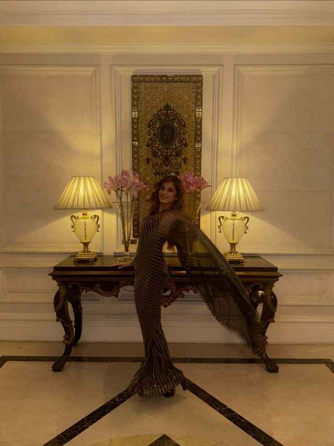 Hunterfly rasha thadani keeps it glam in a black shimmery saree 6