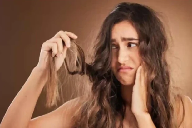 Hunterfly 026 06 10 144248 11zon Common causes of hair breakage and tips for healthy strong hair care routine