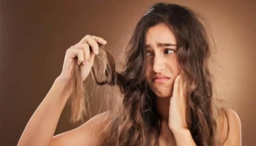 Hunterfly 026 06 10 144248 11zon Common causes of hair breakage and tips for healthy strong hair care routine
