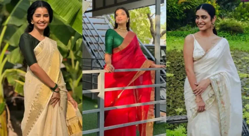 Woman wearing a perfectly pleated saree with neat draping and elegant styling