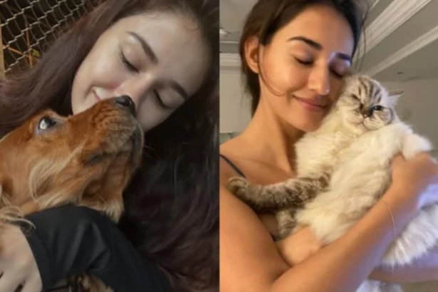 Disha Patani with her beloved pets Bella and Jasmine in happier moments