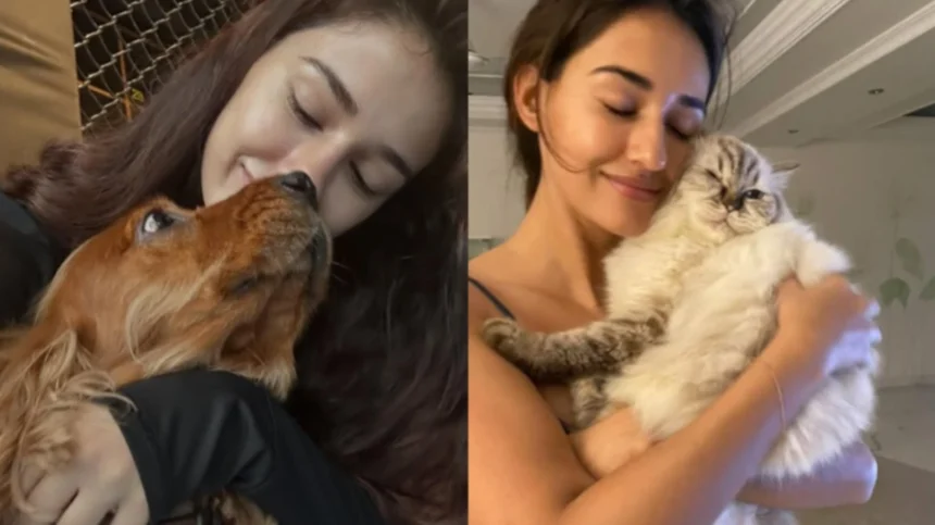Hunterfly 026 06 25 151842 Disha Patani with her beloved pets Bella and Jasmine in happier moments
