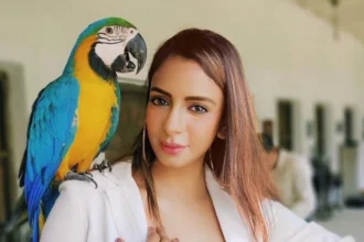 Actress and model Pallavi Debnath during a photoshoot