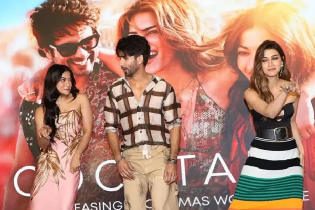 Lead cast of Cocktail 2 as the film approaches ₹100 crore worldwide box office collection