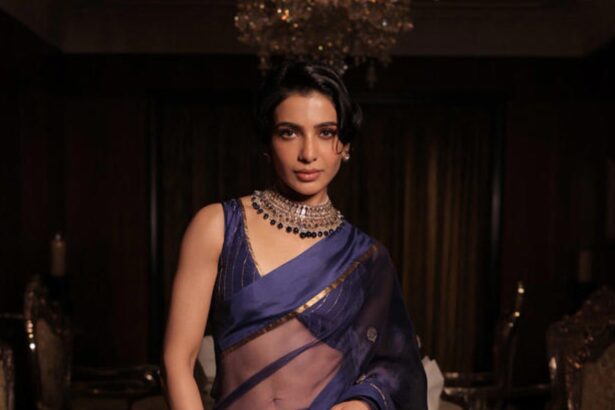 Celebrity-inspired sheer saree fashion featuring elegant translucent drapes and embroidered designs