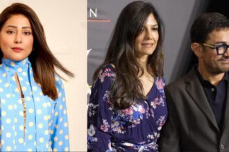 Hina Khan speaks about public perception of Aamir Khan's third marriage during the4POV podcast with Rubina Dilaik.