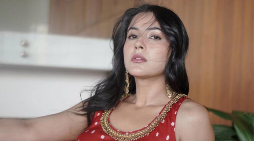 Shehnaaz Gill speaks about demanding fair pay and choosing meaningful film roles.