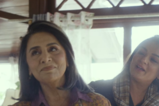 hunterfly Dadi Ki Shaadi 3