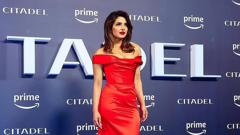 Hunterfly Priyanka Choprad65