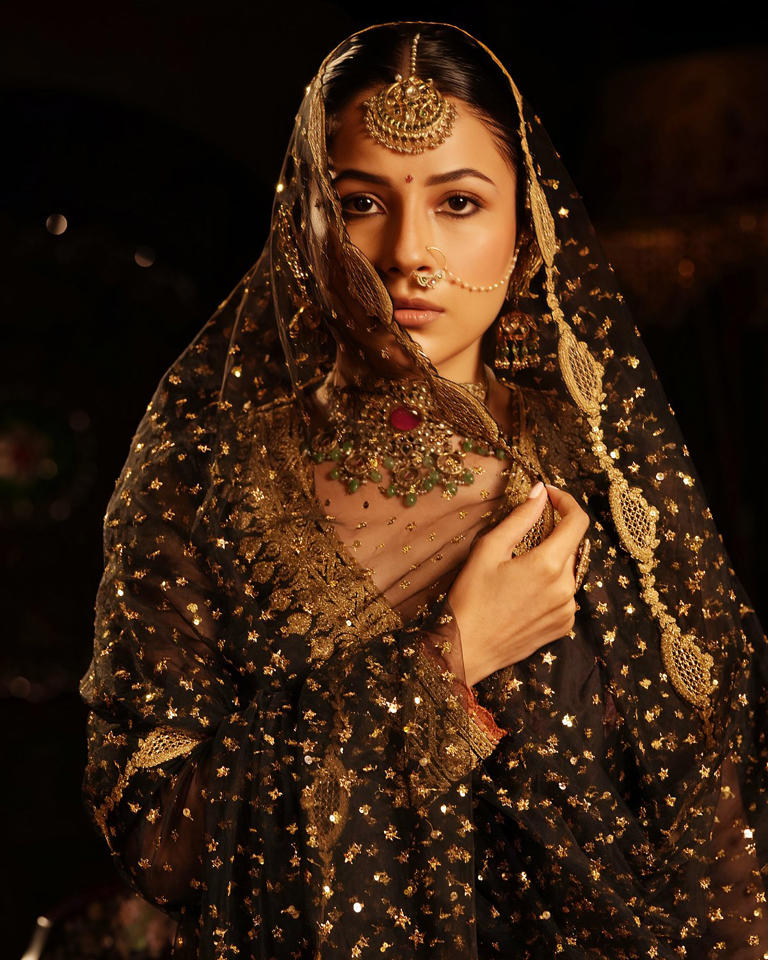Hunterfly Shehnaaz Gill 2 Hunterfly Shehnaaz Gill 2