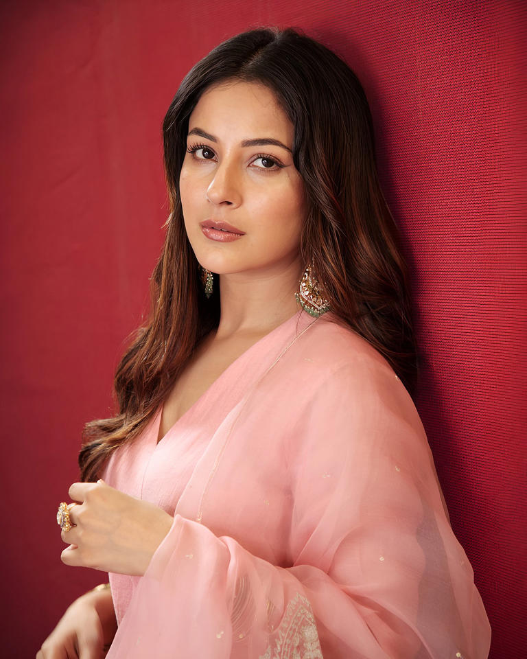 Hunterfly Shehnaaz Gill Hunterfly Shehnaaz Gill