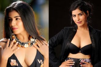 Shikha Malhotra actress biography movies awards career and personal details