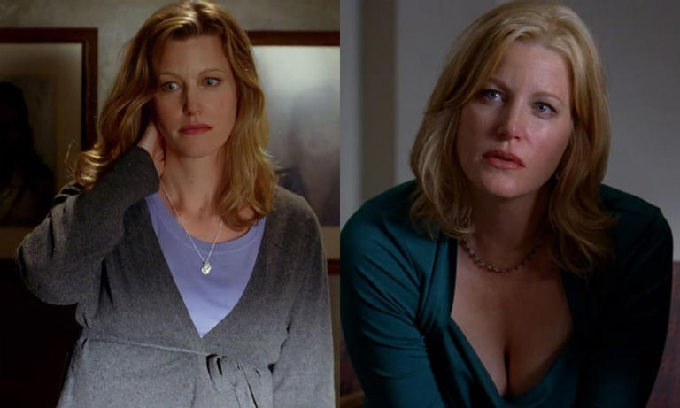 Hunterfly Skyler White Breaking Bad Skyler White (Breaking Bad)