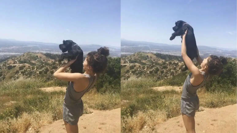 Hunterfly Zendaya3