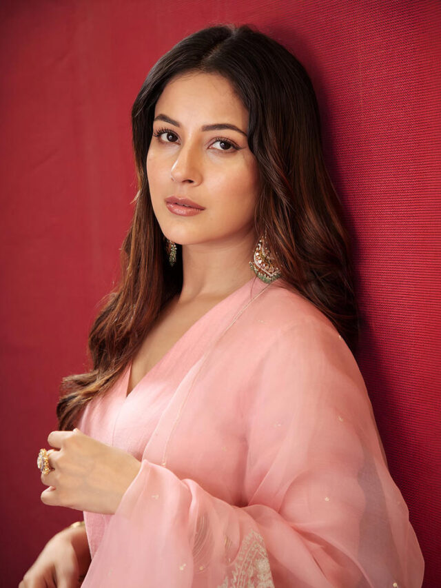 Shehnaaz Gill Opens Up About Ishqnama, Ikk Kudi and Breaking Her ‘Bubbly’ Image